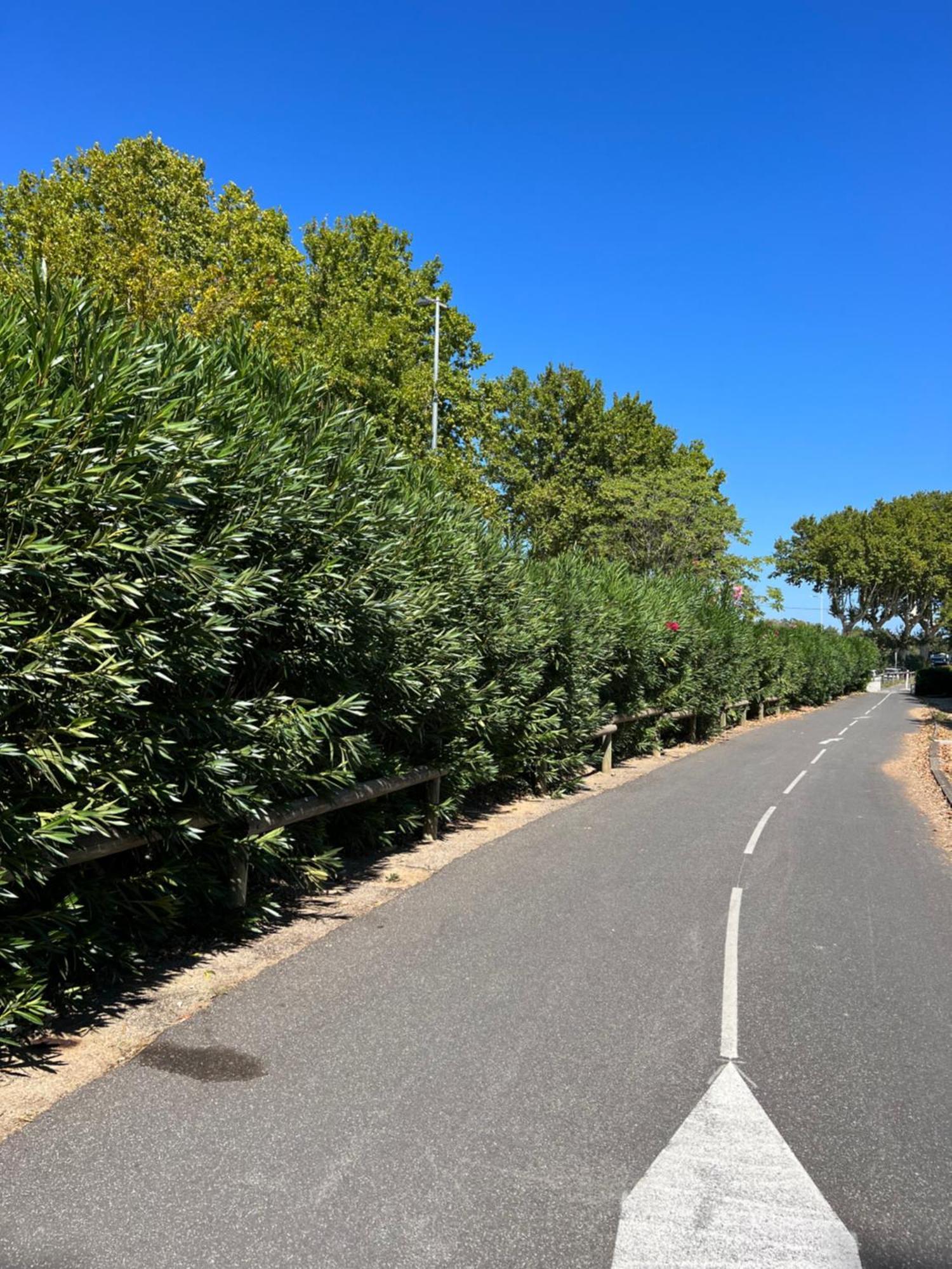 Le Refuge Du Littoral N8 Grimaud Exterior foto